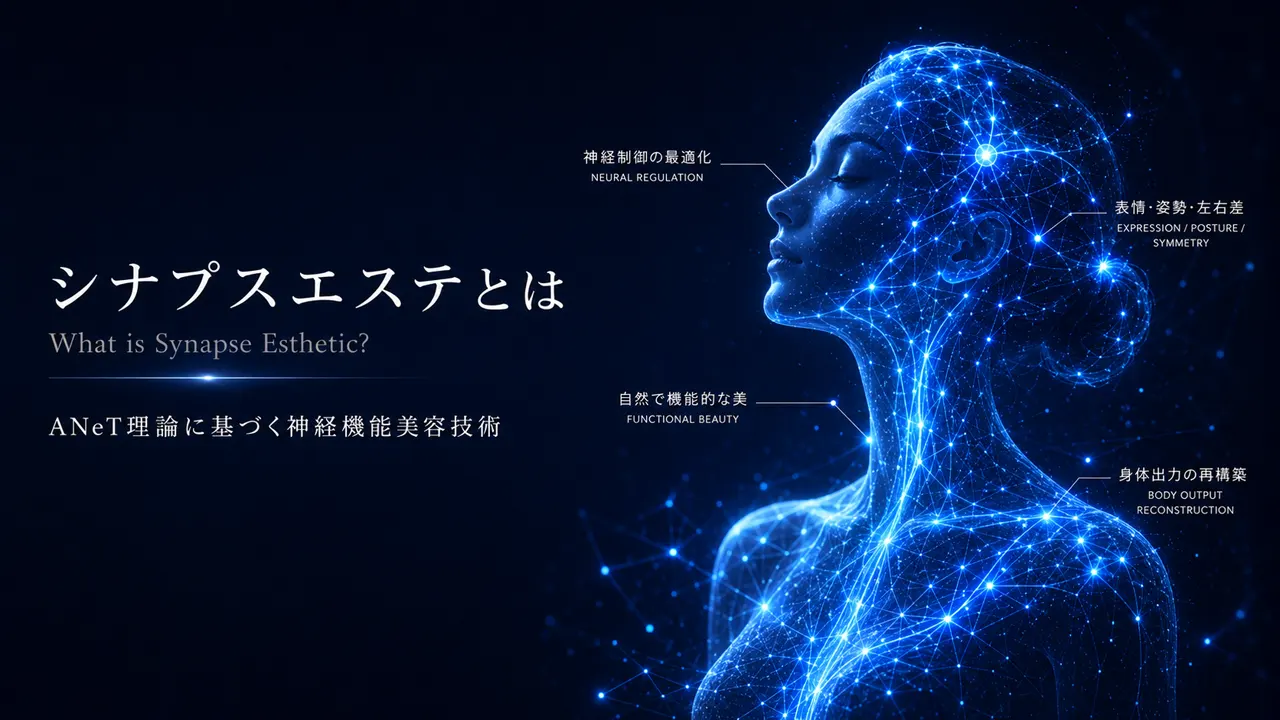 シナプスエステとは — 神経から整える美容領域の説明画像